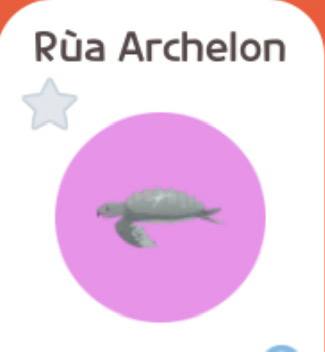 CÂU 1 RÙA ARCHELON THƯỜNG(sẽ nhận TẤT CẢ BÓNG 6,7 CÂU ĐƯỢC cho tới khi ra RÙA ARCHELON THƯỜNG); Tặng gói thành viên bán tức thì 20k 