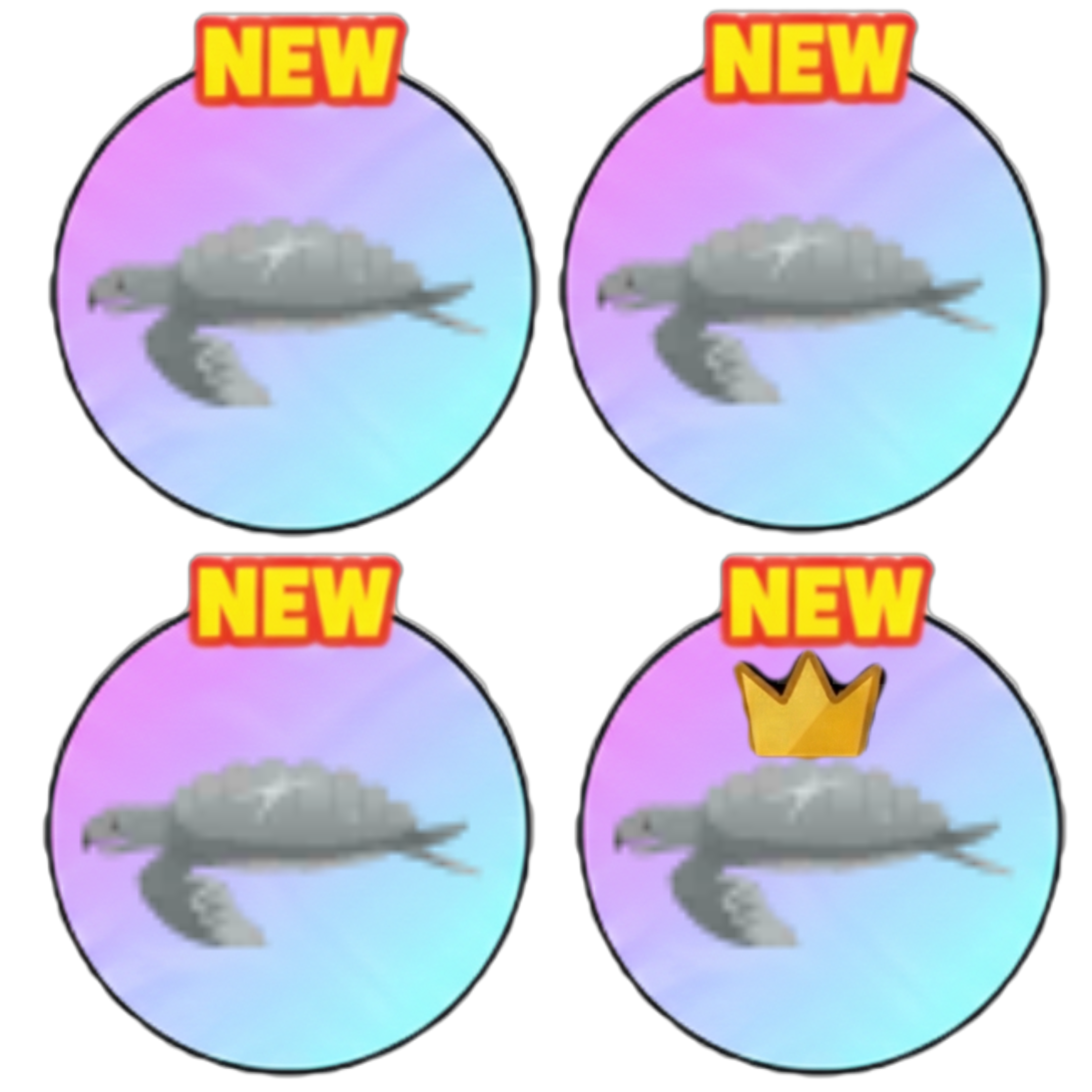 Câu 1 rùa archelon vương miện + 4 rùa thường